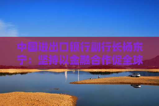 中国进出口银行副行长杨东宁：坚持以金融合作促全球发展
