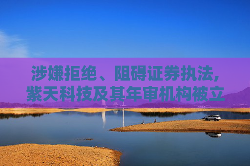 涉嫌拒绝、阻碍证券执法,紫天科技及其年审机构被立案调查