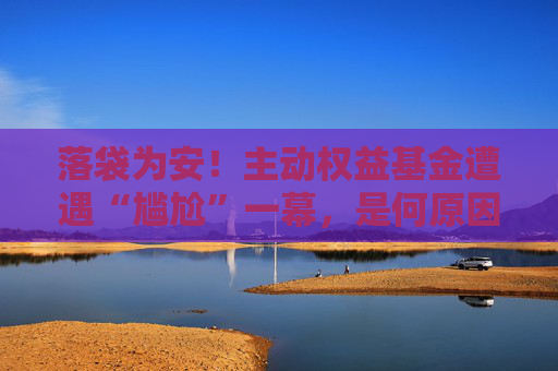 落袋为安！主动权益基金遭遇“尴尬”一幕，是何原因？