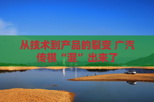 从技术到产品的裂变 广汽传祺“混”出来了
