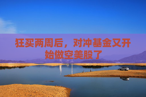 狂买两周后，对冲基金又开始做空美股了