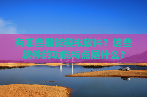 有哪些期货模拟软件？这些软件的功能特点是什么？