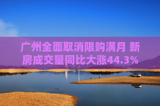 广州全面取消限购满月 新房成交量同比大涨44.3%