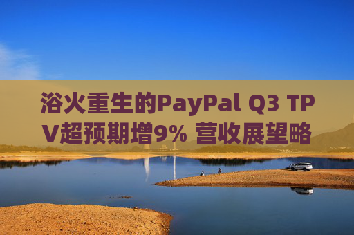 浴火重生的PayPal Q3 TPV超预期增9% 营收展望略逊预期
