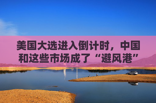 美国大选进入倒计时，中国和这些市场成了“避风港”