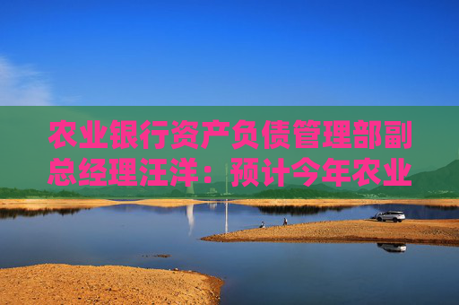 农业银行资产负债管理部副总经理汪洋：预计今年农业银行的净息差将保持基本稳定