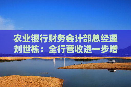 农业银行财务会计部总经理刘世栋：全行营收进一步增长仍将面临一定的压力