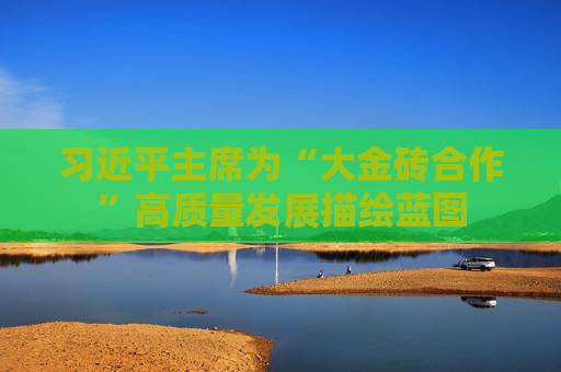 习近平主席为“大金砖合作”高质量发展描绘蓝图