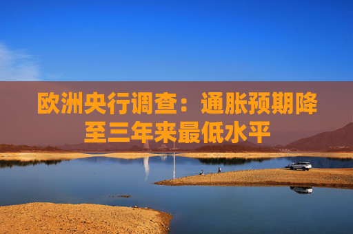 欧洲央行调查：通胀预期降至三年来最低水平