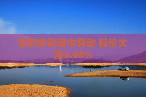 猎豹移动盘中异动 股价大涨5.98%