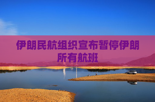 伊朗民航组织宣布暂停伊朗所有航班