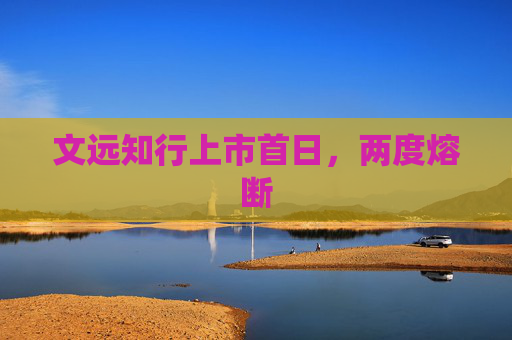 文远知行上市首日，两度熔断