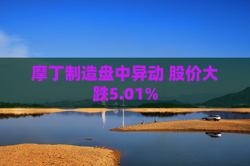 摩丁制造盘中异动 股价大跌5.01%