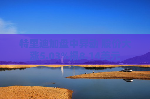 特里迪加盘中异动 股价大涨5.03%报8.14美元
