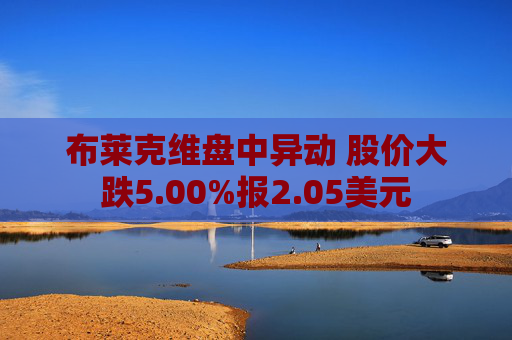 布莱克维盘中异动 股价大跌5.00%报2.05美元
