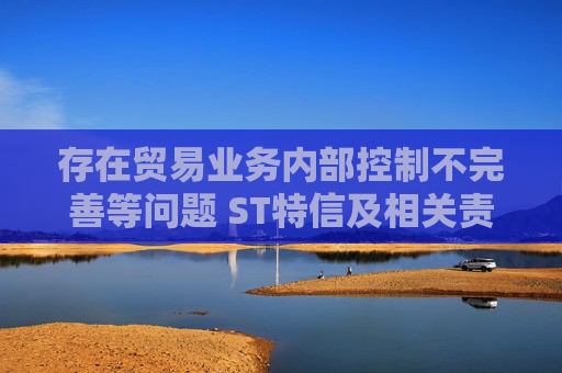 存在贸易业务内部控制不完善等问题 ST特信及相关责任人被采取行政监管措施
