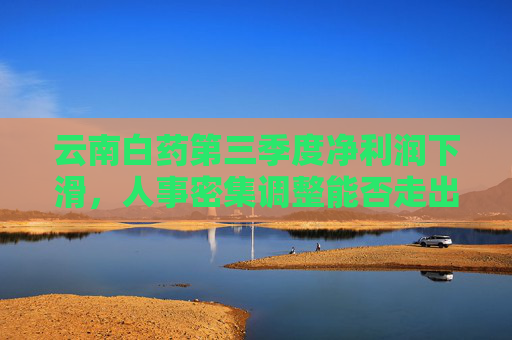 云南白药第三季度净利润下滑，人事密集调整能否走出高层动荡？
