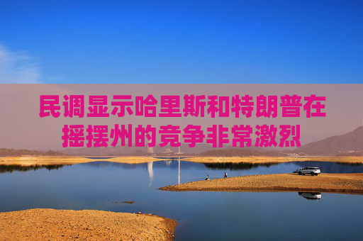 民调显示哈里斯和特朗普在摇摆州的竞争非常激烈