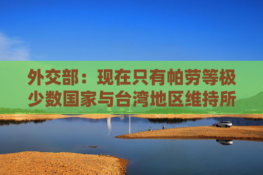 外交部：现在只有帕劳等极少数国家与台湾地区维持所谓“邦交关系”，必须予以纠正
