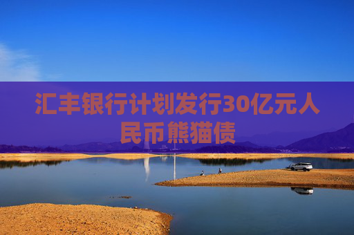 汇丰银行计划发行30亿元人民币熊猫债