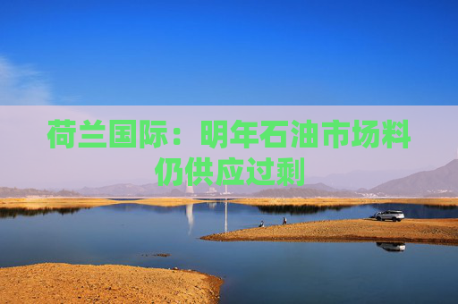 荷兰国际：明年石油市场料仍供应过剩