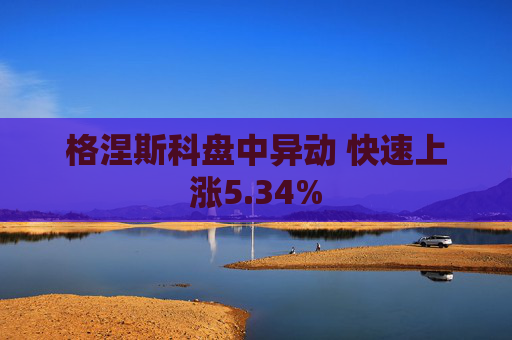 格涅斯科盘中异动 快速上涨5.34%