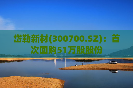 岱勒新材(300700.SZ)：首次回购51万股股份