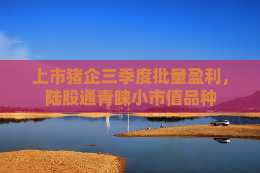 上市猪企三季度批量盈利，陆股通青睐小市值品种