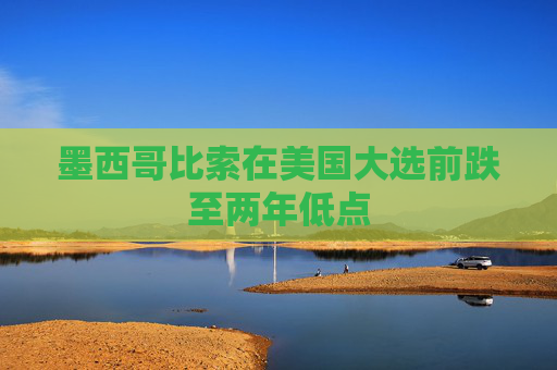 墨西哥比索在美国大选前跌至两年低点