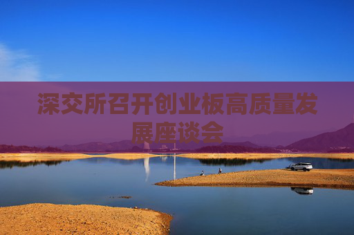 深交所召开创业板高质量发展座谈会