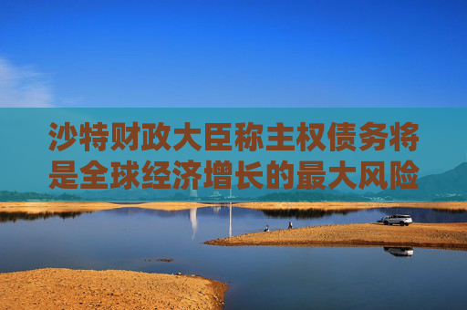 沙特财政大臣称主权债务将是全球经济增长的最大风险