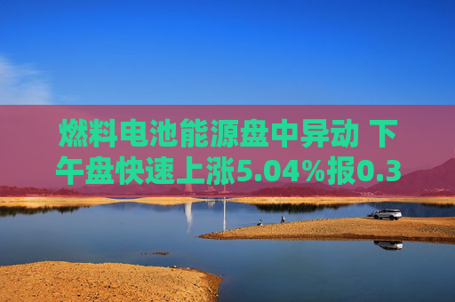燃料电池能源盘中异动 下午盘快速上涨5.04%报0.358美元