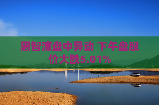 恩智浦盘中异动 下午盘股价大跌5.01%