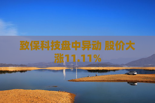 致保科技盘中异动 股价大涨11.11%