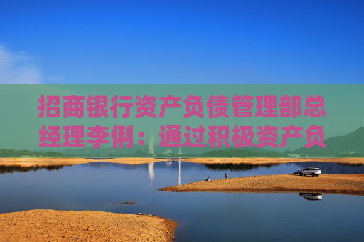 招商银行资产负债管理部总经理李俐：通过积极资产负债管理措施 保证息差相对平稳