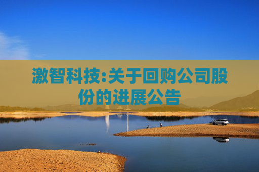 激智科技:关于回购公司股份的进展公告