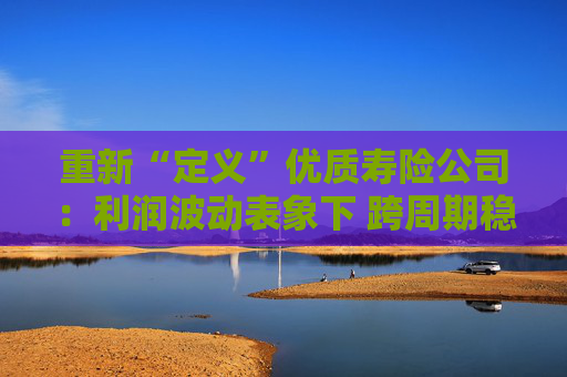 重新“定义”优质寿险公司：利润波动表象下 跨周期稳健经营能力才是根本
