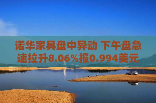 诺华家具盘中异动 下午盘急速拉升8.06%报0.994美元