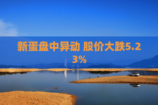 新蛋盘中异动 股价大跌5.23%
