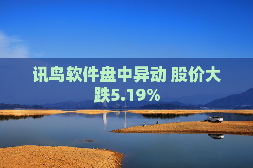 讯鸟软件盘中异动 股价大跌5.19%