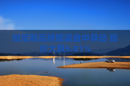 哈尼斯品牌服装盘中异动 股价大跌5.01%
