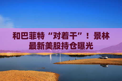 和巴菲特“对着干”！景林最新美股持仓曝光