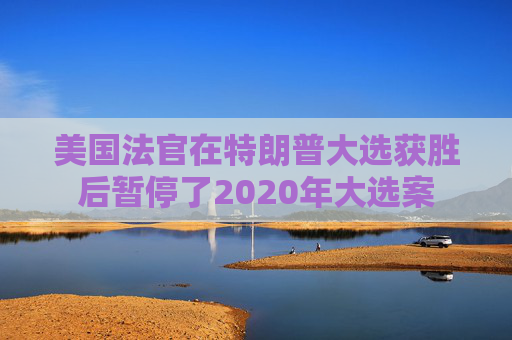 美国法官在特朗普大选获胜后暂停了2020年大选案