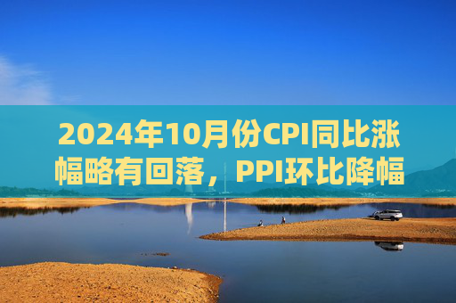 2024年10月份CPI同比涨幅略有回落，PPI环比降幅明显收窄