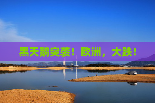 黑天鹅突袭！欧洲，大跌！