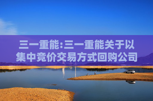 三一重能:三一重能关于以集中竞价交易方式回购公司股份的进展公告