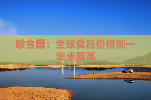 联合国：全球食品价格创一年半新高