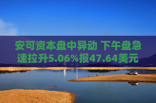 安可资本盘中异动 下午盘急速拉升5.06%报47.64美元