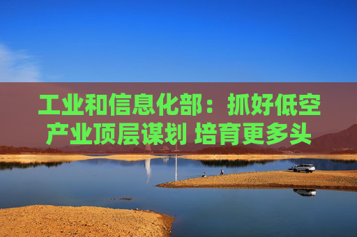 工业和信息化部：抓好低空产业顶层谋划 培育更多头部企业和专精特新“小巨人”企业