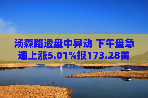 汤森路透盘中异动 下午盘急速上涨5.01%报173.28美元